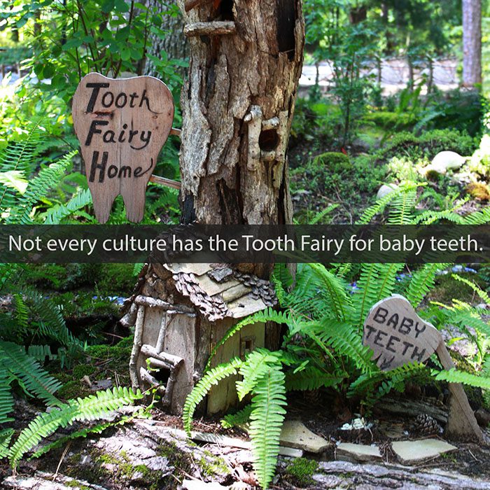 Expert Dental Care and Cosmetic Dentistry in Flemington, NJ -