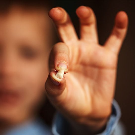 Expert Dental Care and Cosmetic Dentistry in Flemington, NJ -